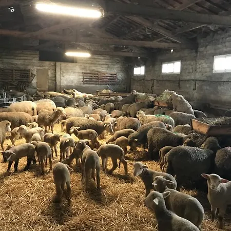 Сasa de vacaciones Studio A La Ferme