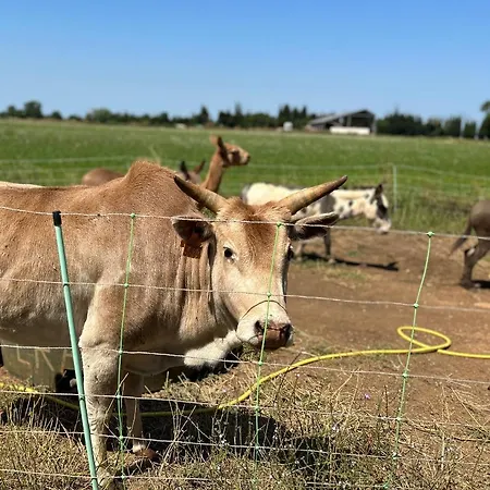 Studio A La Ferme Сasa de vacaciones
