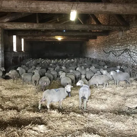 Studio A La Ferme Holiday home